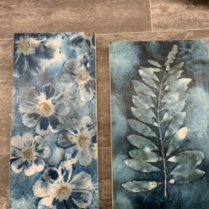 Cyanotype-Karen Lamphere
