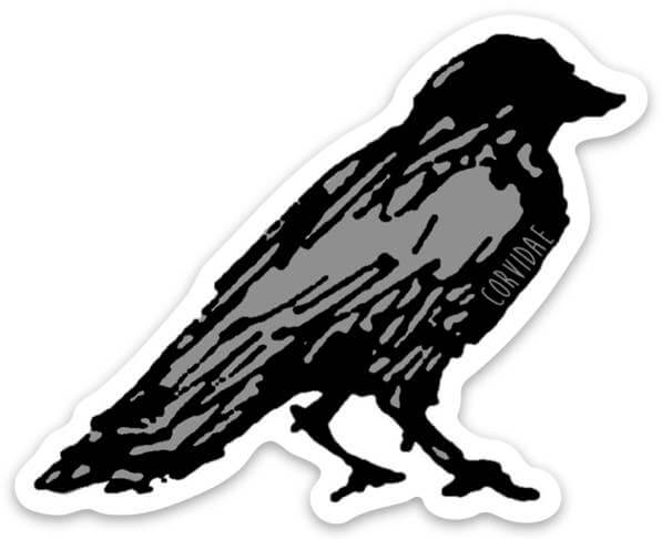 Corvidae Crow Sticker