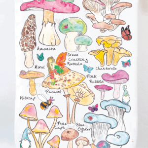Avery’s Home – Mushroom & Gnome Garden Kitchen Towel