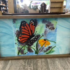 JSG Butterfly Framed