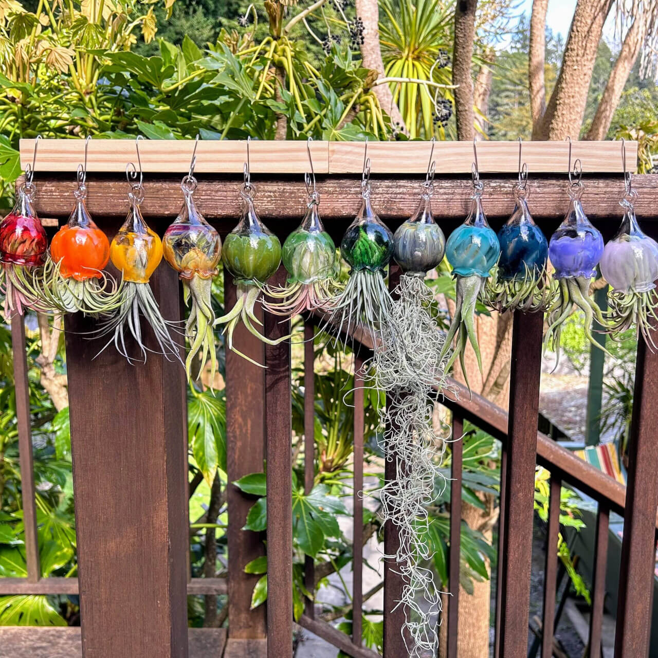 Terrapin Glass Gardens - Full Color Hand Blown Glass Vessels with Air Plant