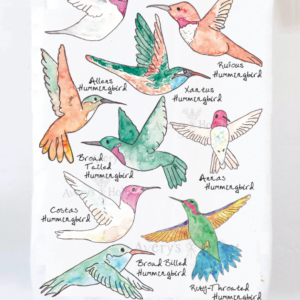 Avery’s Home – North America Hummingbirds Kitchen Towel