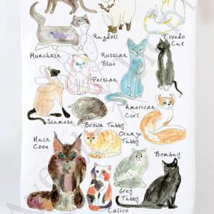 Avery’s Home – Cat Breed Kitchen Towel