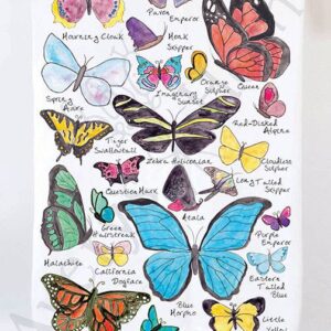 Avery’s Home – Usa Garden Butterfly Species Kitchen Towel