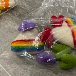 Rainbow Felted Set