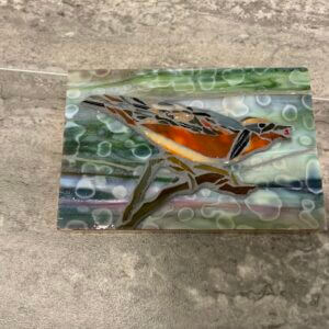 Details NW Varied Thrush 4×12