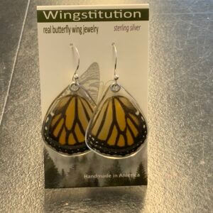 Butterfly Monarch Wingstitution