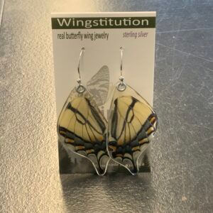 Butterfly Eastern Tiger Swallowtail Wingstitution