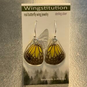 Butterfly Yellow Glassy Tiger Wingstitution