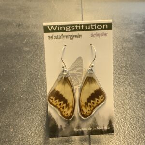 Butterfly Herminia Glider Wingstitution