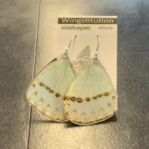Butterfly Mint Morpho Wingstitution