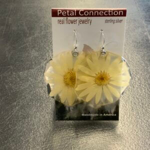 Large White Daisy