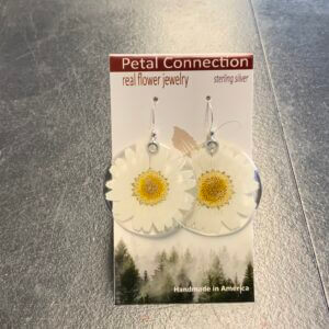 White Daisy