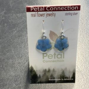 Forget Me Not Bloom Petal Connection