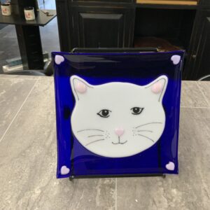 JSG White Cat