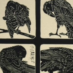 Dona Reed Primping Crows 12×12
