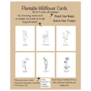 The Raven’s Edge Studio – Wildflower Seed Cards ~ Set of 6 Eco Friendly Cards