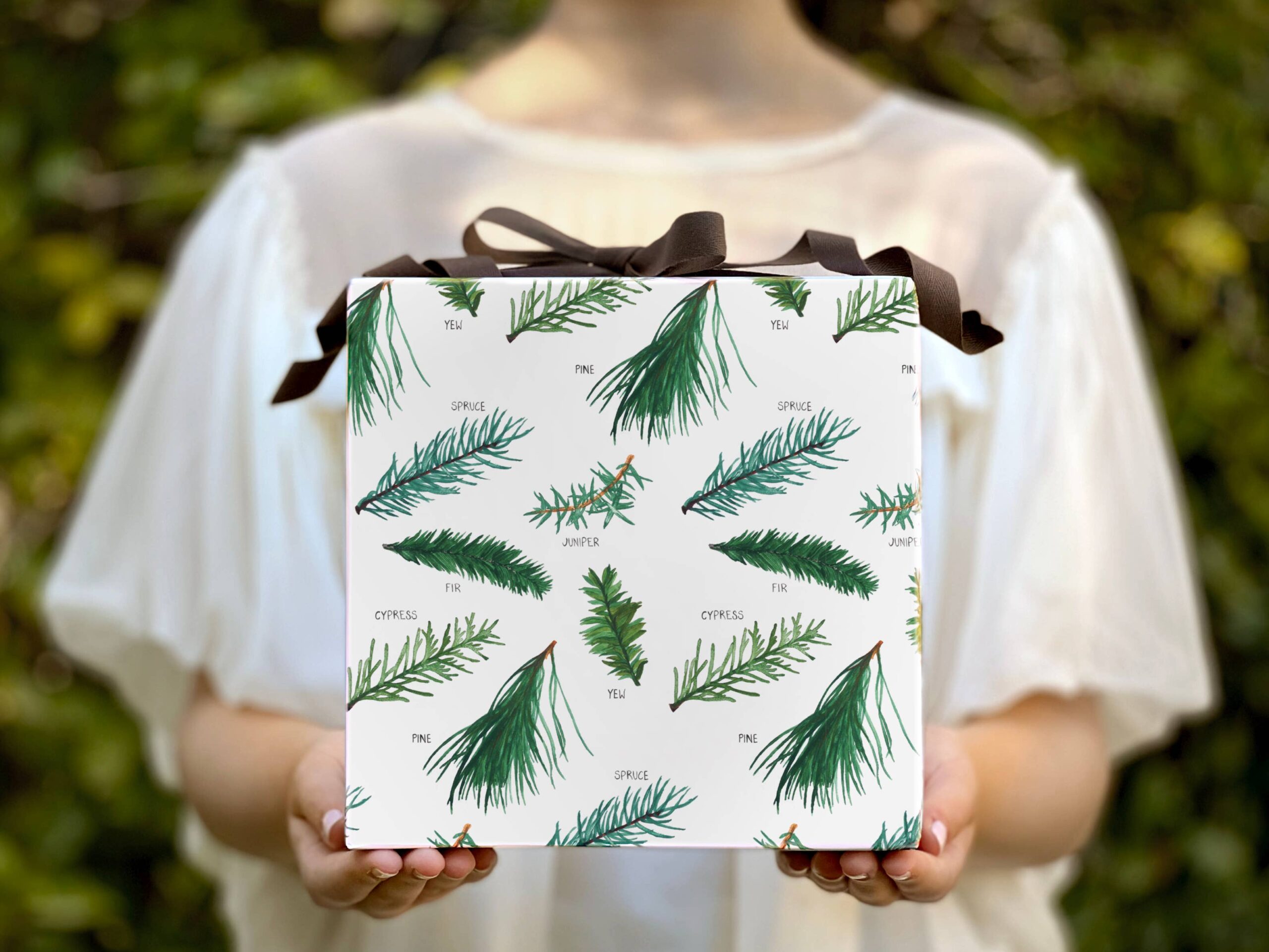 Favorite Story - Evergreen Gift Wrap | Fine Wrapping Paper Sheet