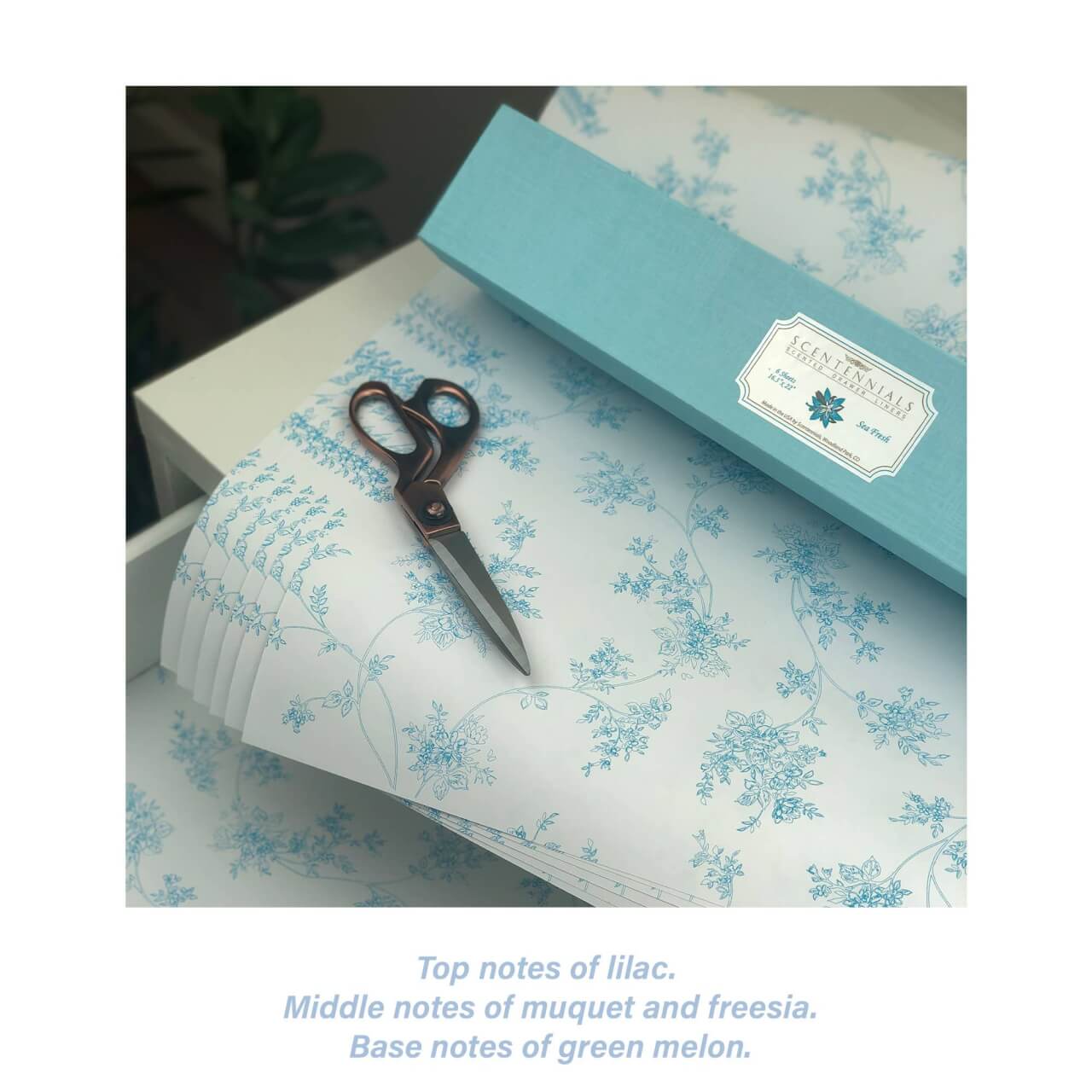 Drawer Liners: Sea Fresh