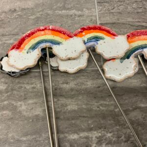 Mud & Maker – rainbow plant