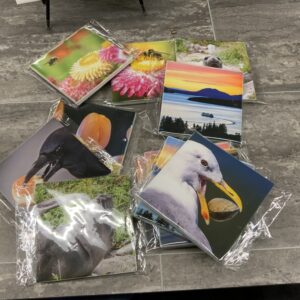 Denis Law Elsie Mae Coasters