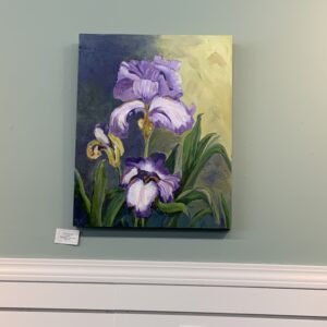 Terry MacDonald Iris