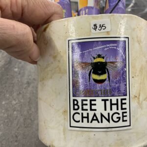 Astrea Prayer-Bee the Change