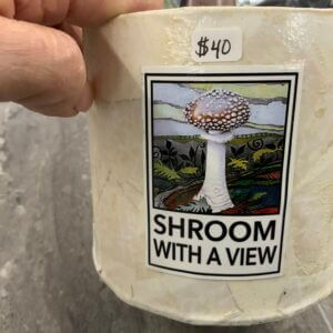 Astrea Prayer-Shroom with a View