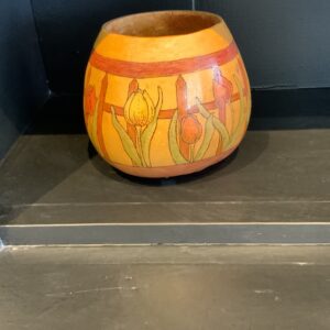 Tulip Gourd