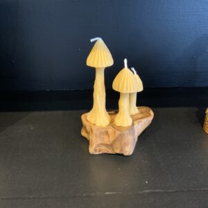 Rodger Schnee Mushroom Candles
