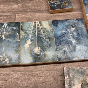 Cyanotype-Karen Lamphere
