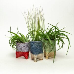 White Squirrel Clayworks – Lg Live Air Plants