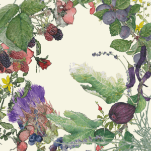 Leafy Lexicon – Harvest Summer greeting card