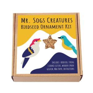 Mr. Sogs – DIY Birdseed Butterfly