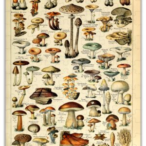 Mushroom Puzzle
