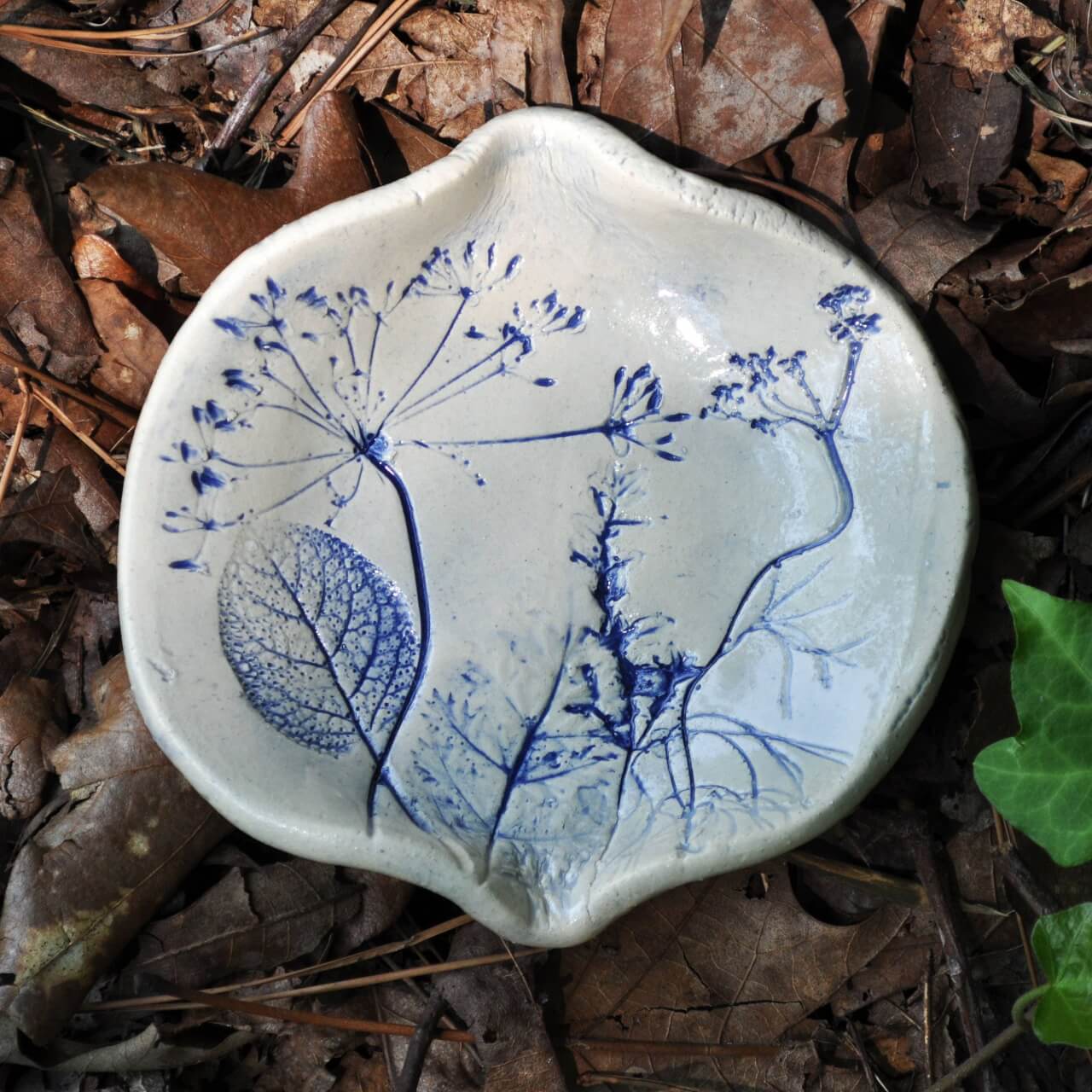 Clay Fossils - Herb Dishes