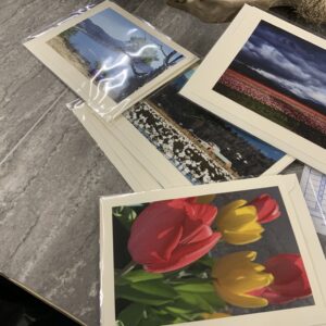 Barbara Lindberg Cards