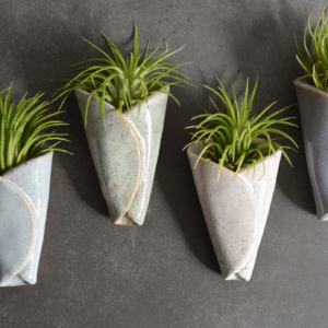 Mud & Maker – Air Plant Pottery – CONE: Cone + Air Plant Combo