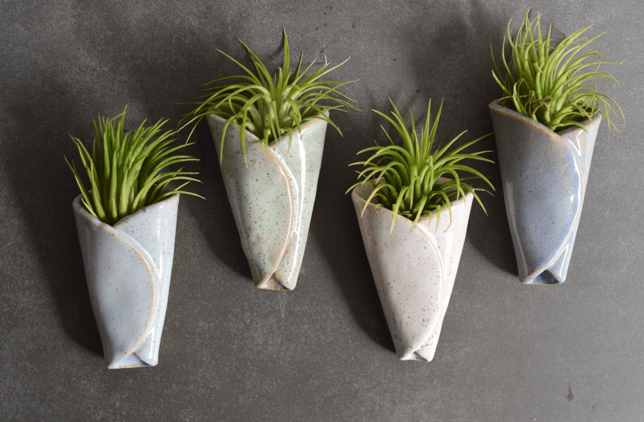 Mud & Maker - Air Plant Pottery - CONE: Cone + Air Plant Combo