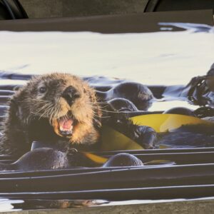 OWP-Just Chillin’ 16×20 Canvas Print