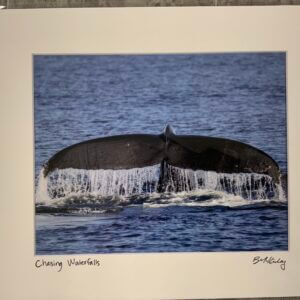OWP-Chasing Waterfalls Matted