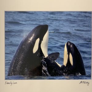 OWP-Family Love Matted