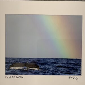OWP-End of the Rainbow Matted