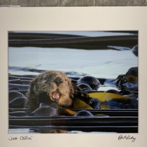 OWP-Just Chillin’ Matted