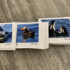 OWP – Greeting Cards