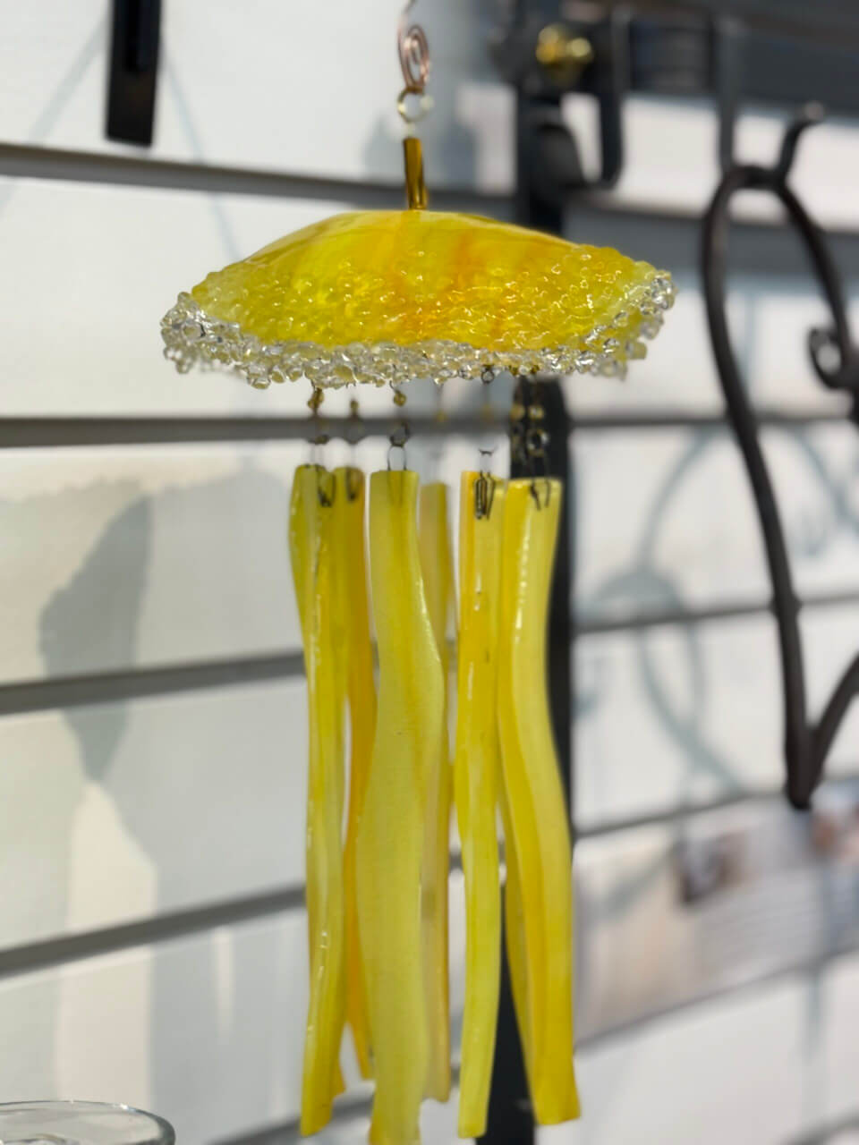 JSG Jellyfish