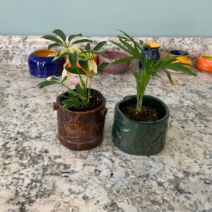 JSG – Clay Planters