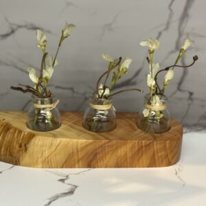 Rodger Schnee – Triple Bud Vase