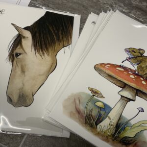 Shawn Braley Cards